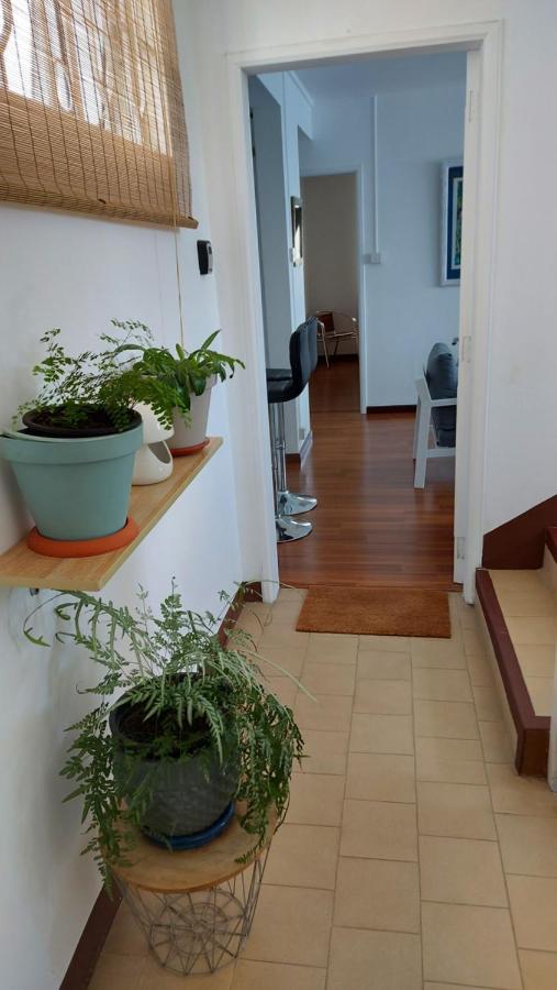 Tropical Palms Apartment Mauritius 푸앵트 오 카노니에 외부 사진